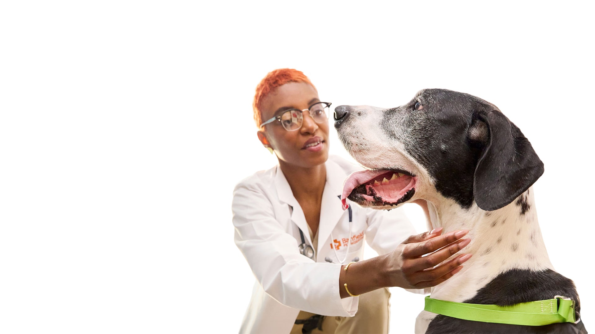 una médica que examina a un perro