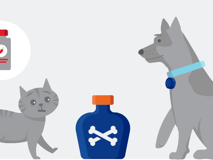 Ilustración de un gato y un perro de pie junto a una botella de veneno