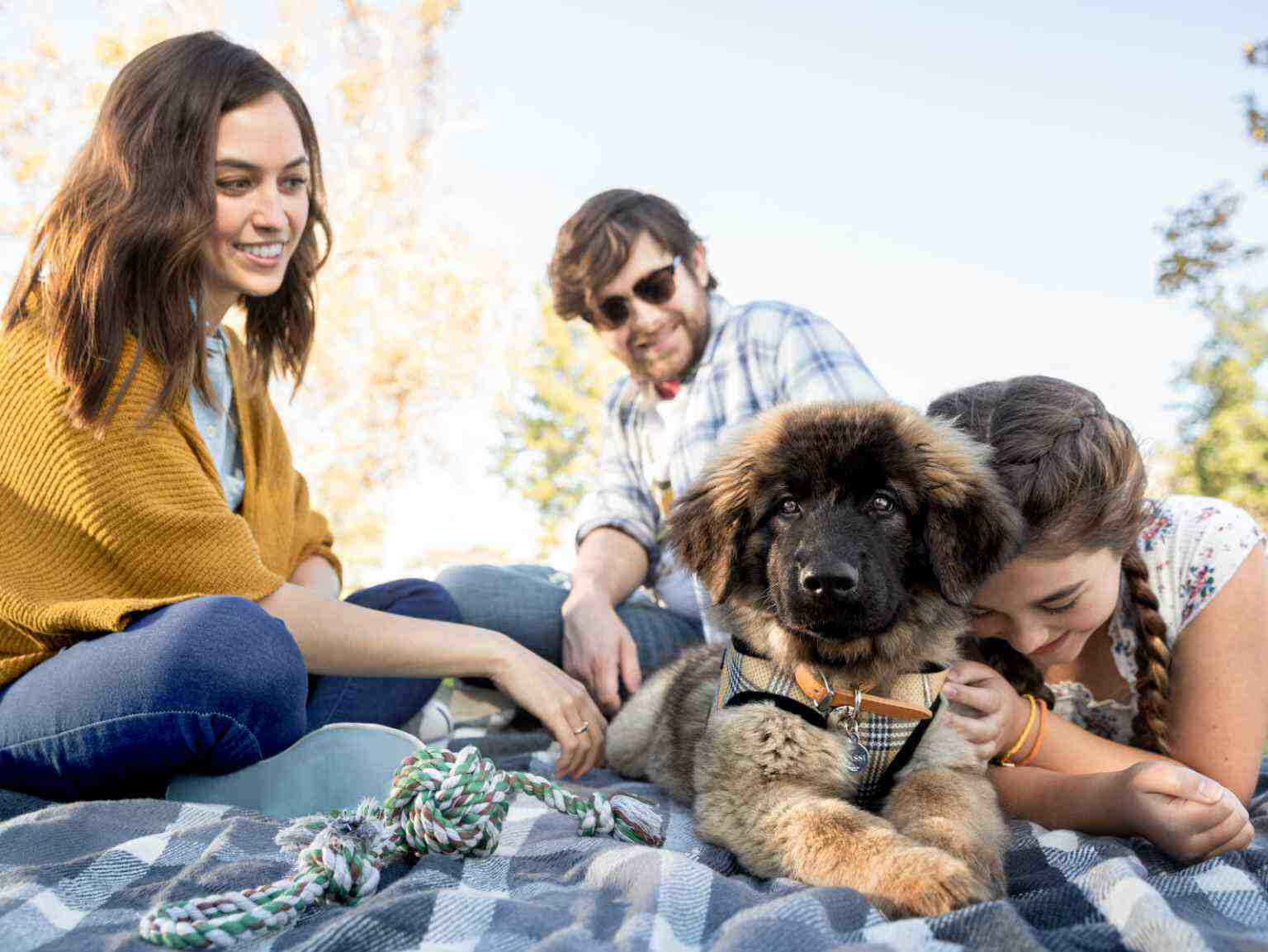 familia que juega con su cachorro sobre una manta de picnic