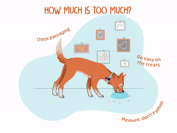 Gráfico vectorial de un cachorro comiendo de su tazón de alimento para mascotas