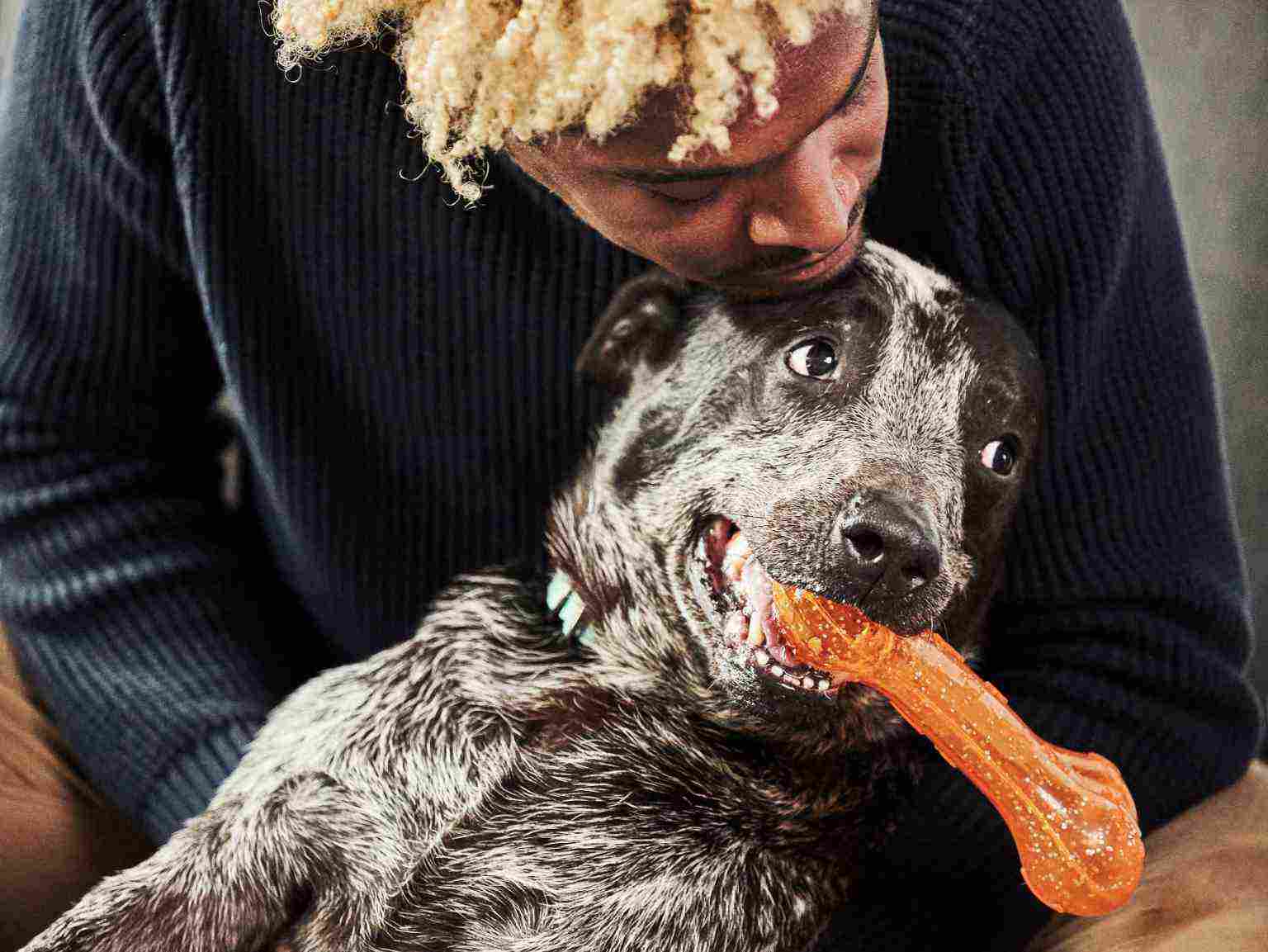 El dueño de un perro besando a su perro, que sostiene un juguete naranja