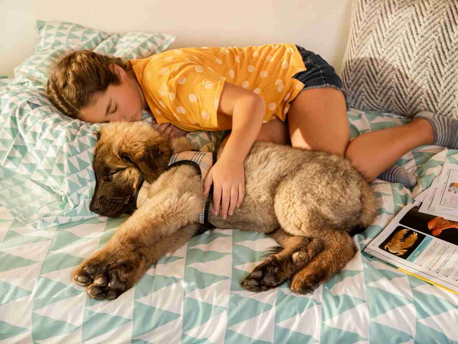 Una niña durmiendo junto a su cachorro