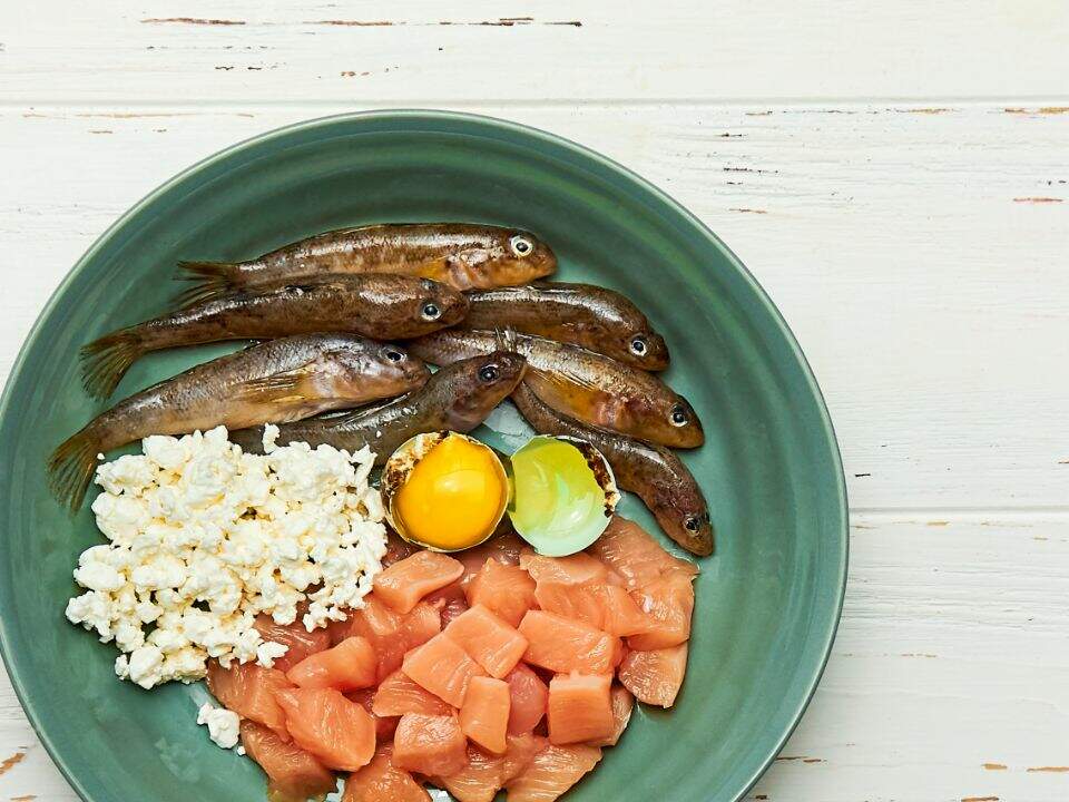 plato verde con sardinas, salmón y huevo crudo