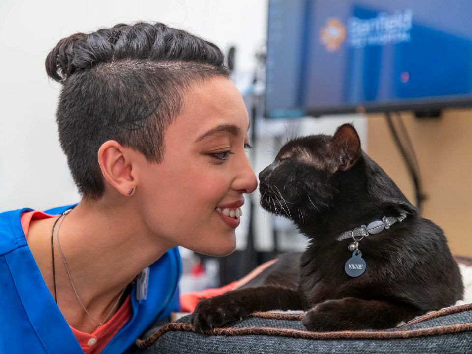 veterinaria besando la nariz de un gato negro