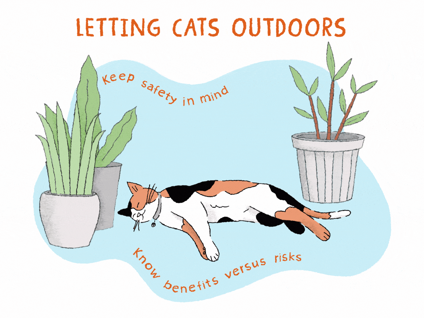 ilustración de plantas y gato calicó