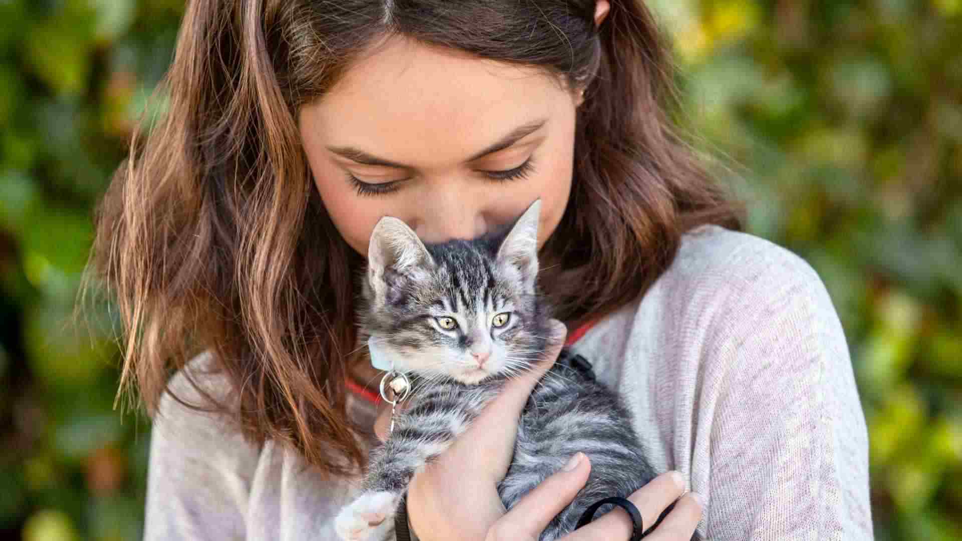 una muchacha sosteniendo a un gatito gris rayado