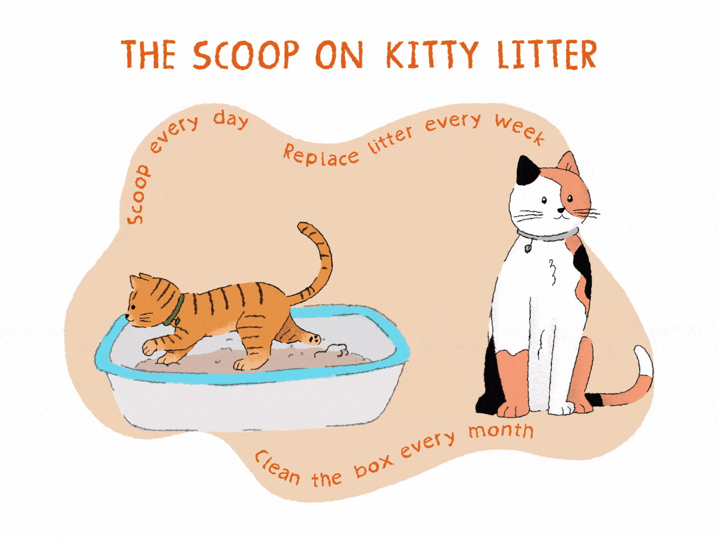 ilustración de gato calicó, un arenero y un gatito naranja