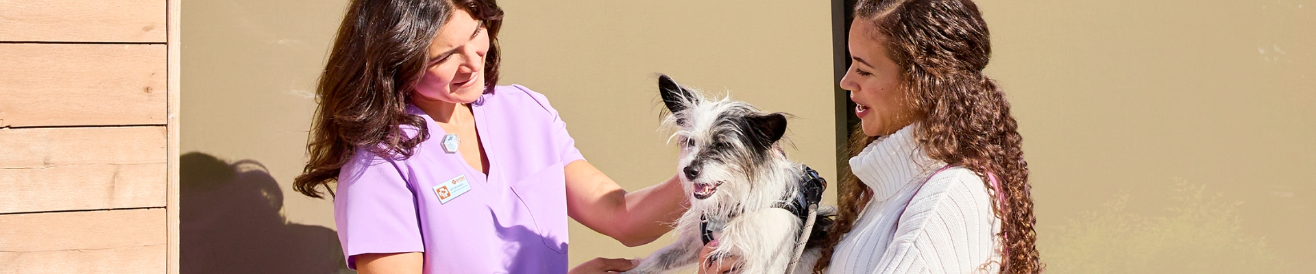 Una CVT saluda a una mujer con su perro