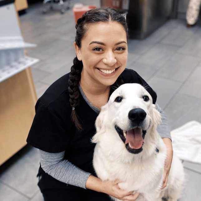 Profile picture of Monica Elias, Asistente veterinario