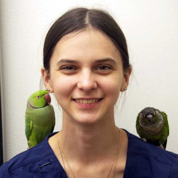 Profile picture of Adrianna Findley, Asistente veterinario