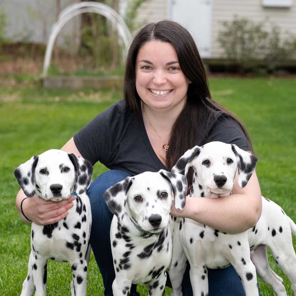 Profile picture of Lindsey Hallowell, DVM, Veterinario