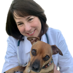 Profile picture of Shawn Kitziger, DVM, Veterinario