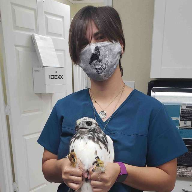 Profile picture of Samantha Meilink, Asistente veterinario