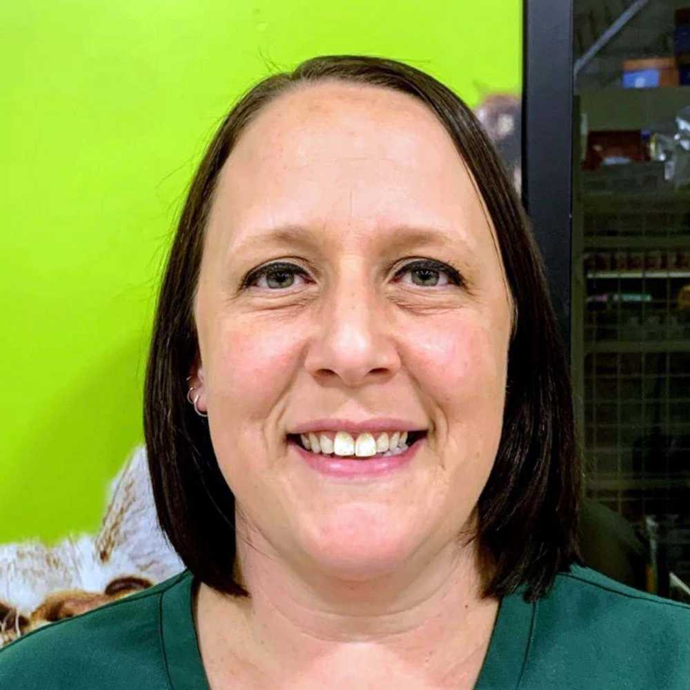 Profile picture of Angela Stephens, Coordinador de servicio al cliente