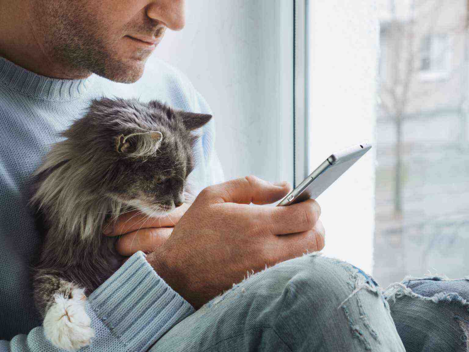 Un hombre sostiene a su gato mientras lee en su teléfono inteligente frente a una ventana.