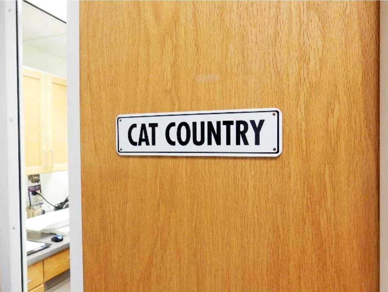 Entrada con el nombre comercial - Cat Country