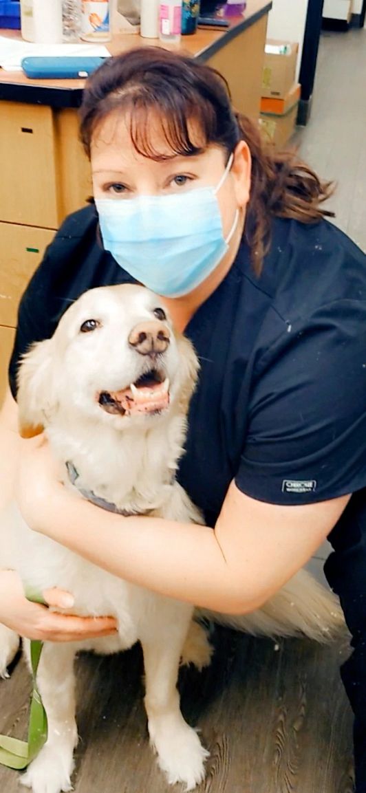 Una asociada abrazando a un perro en Banfield Pet Hospital