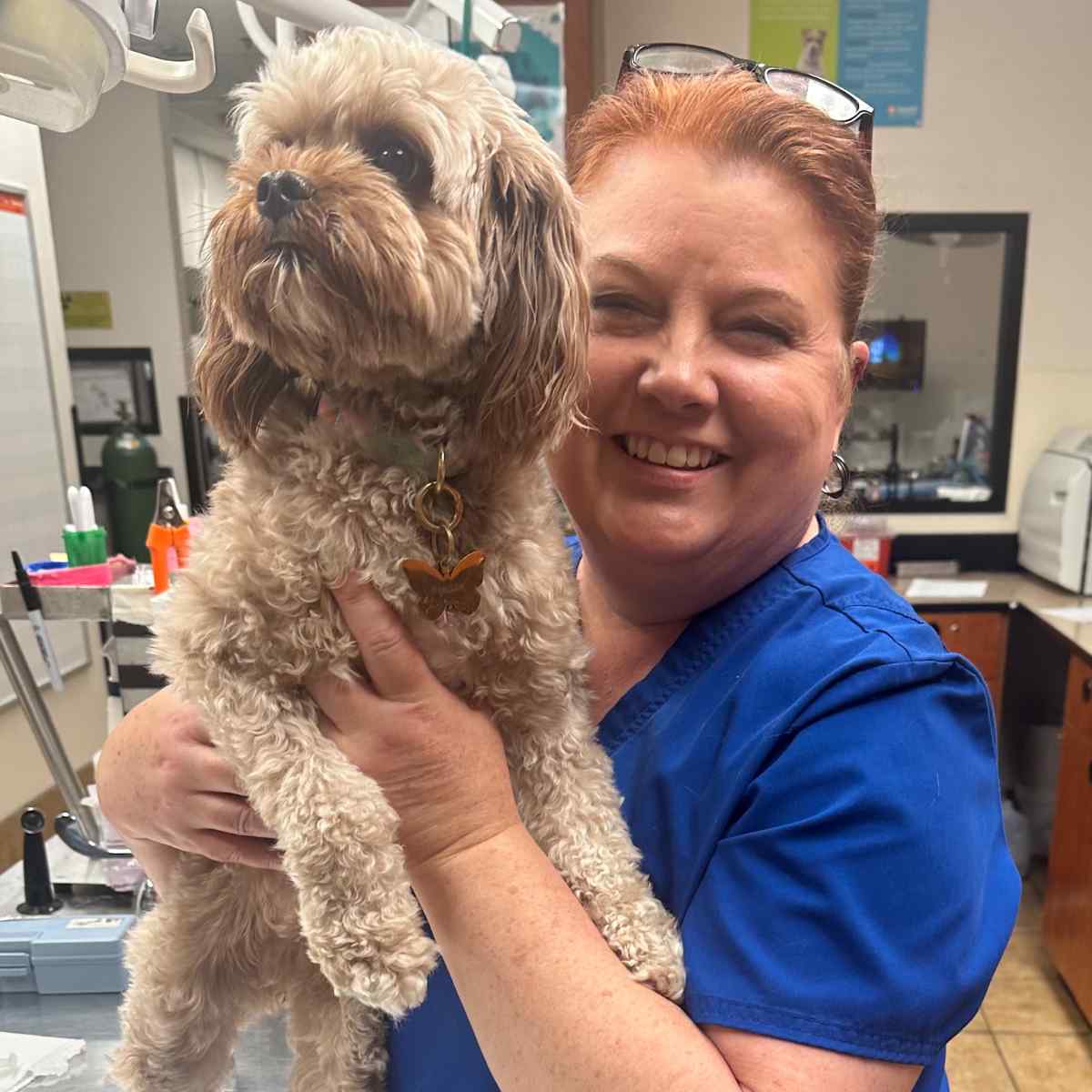 Imagen de perfil de Lisa Jackson, Asistente veterinario