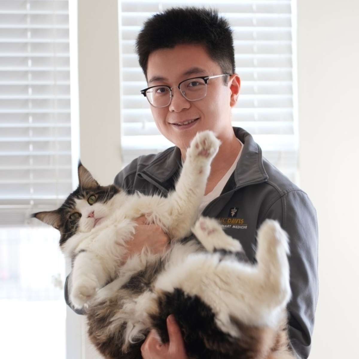 Imagen de perfil de Weirong Zou, DVM, Veterinario