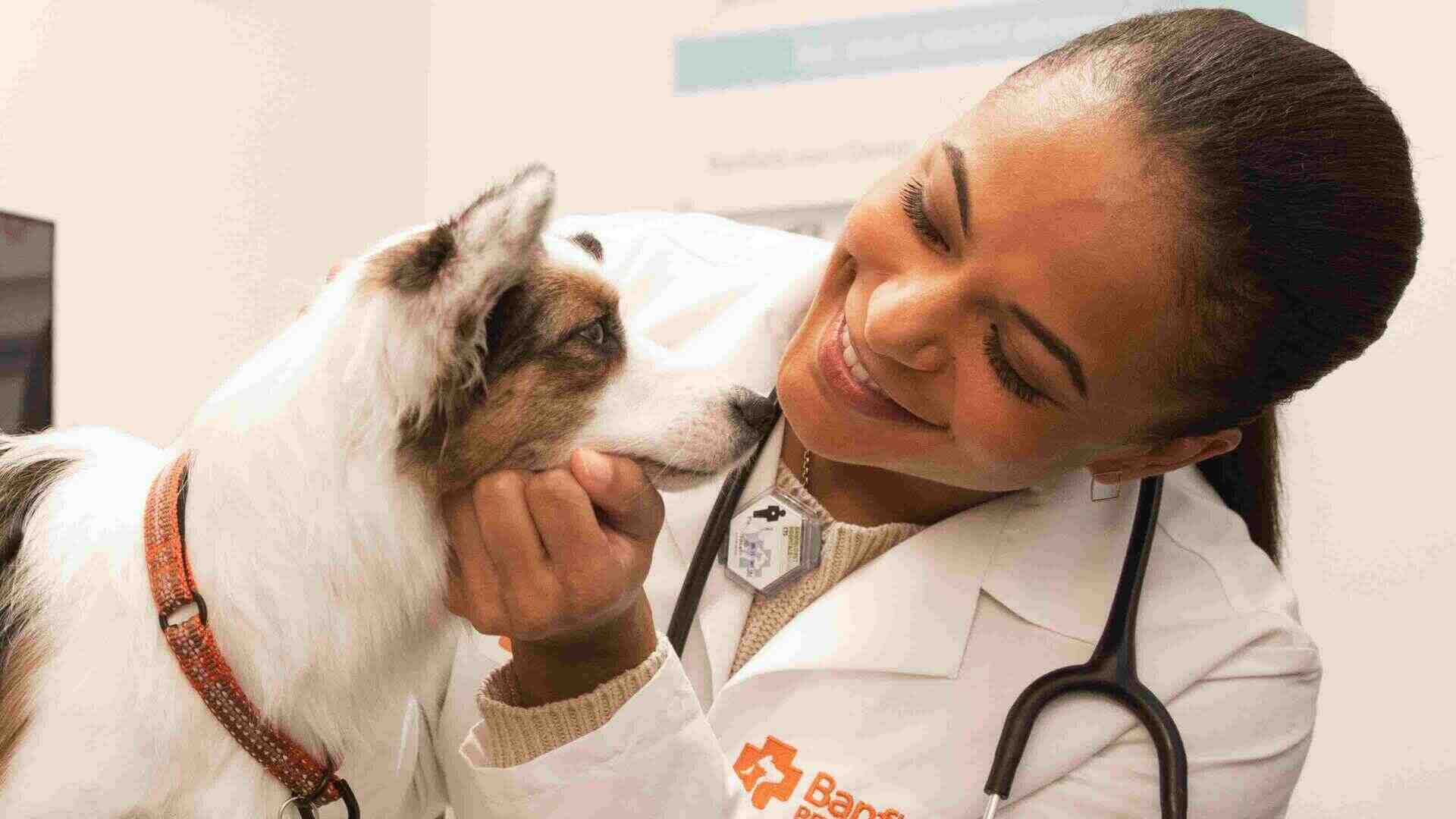 Médico sonriendo a un perro