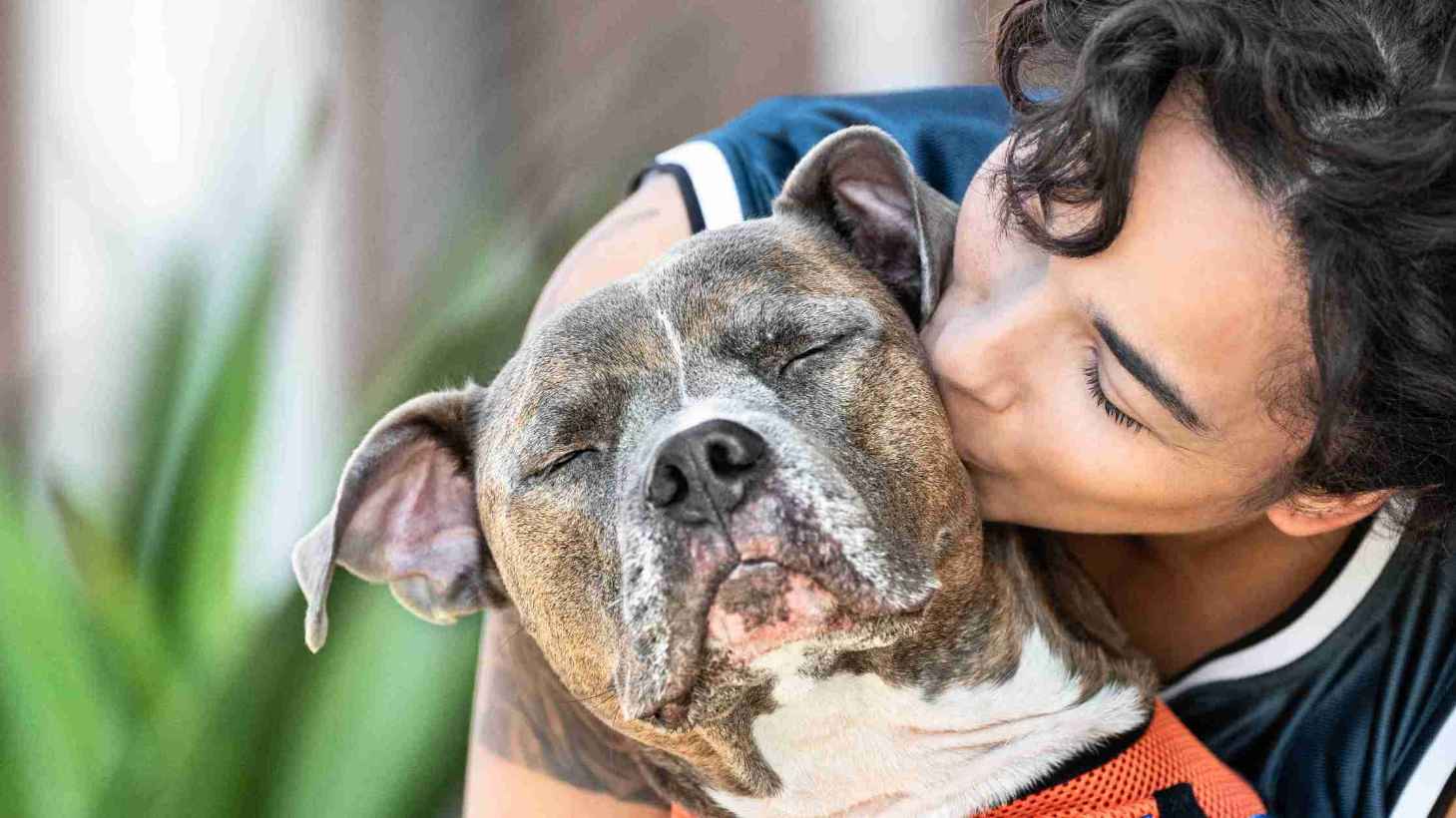 Niña que besa a un perro