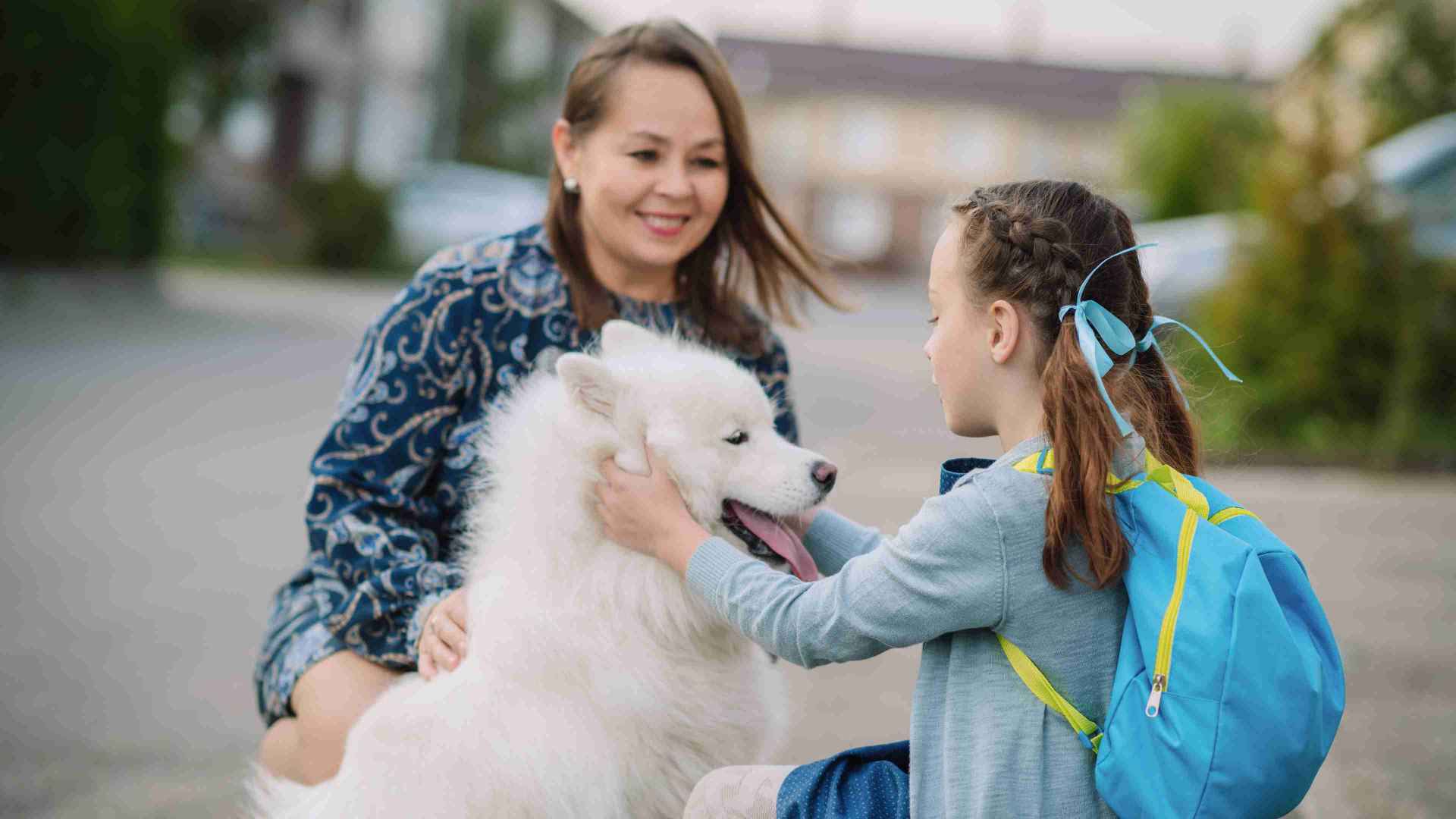 regreso a la escuela y la ansiedad por separación de las mascotas