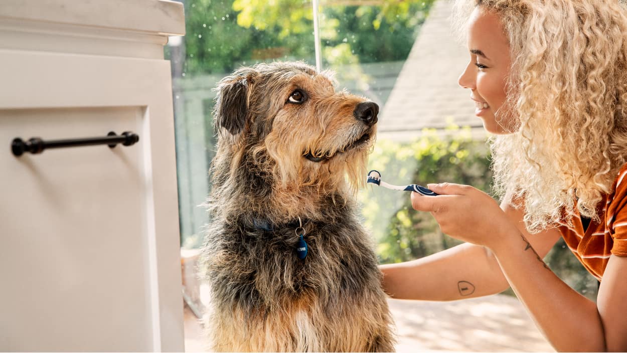 Mujer sosteniendo un cepillo de dientes con un perro