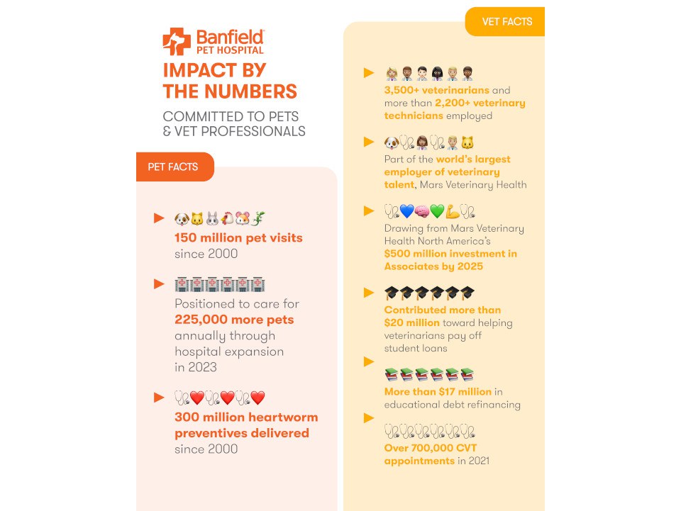 Infografía de Banfield según las cifras