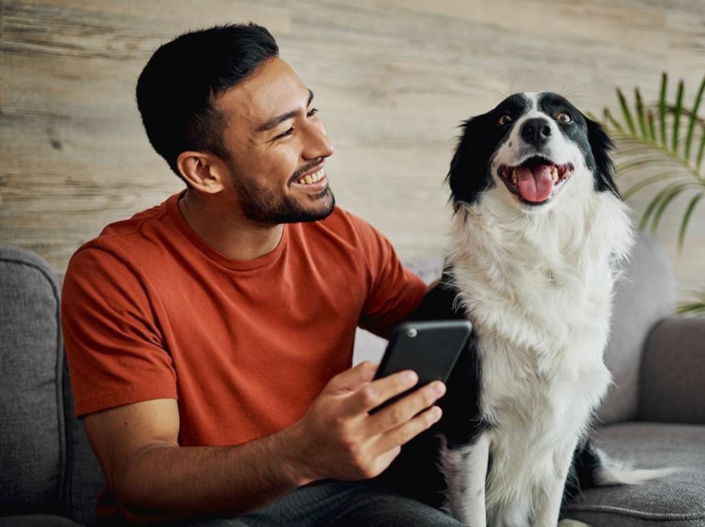 Un hombre navega con su dispositivo móvil junto a su perro blanco y negro