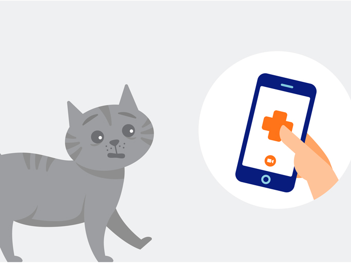 Ilustración de un gato gris y un teléfono móvil con logotipo de banfield