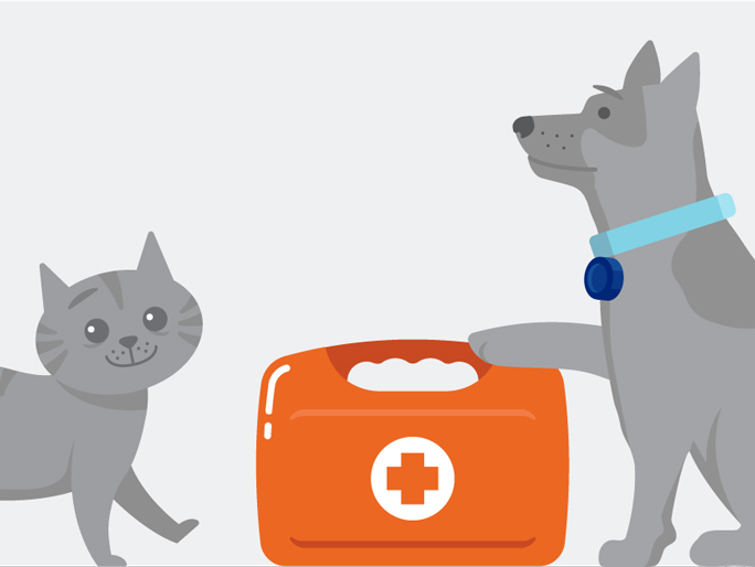 Ilustración de un perro y un gato con un kit de primeros auxilios