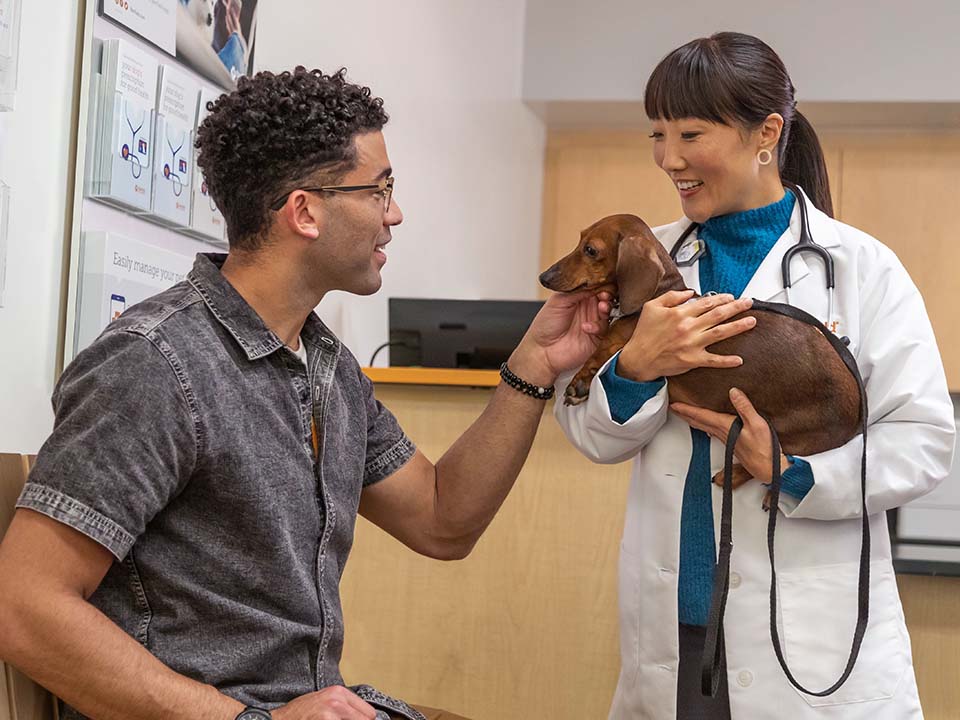veterinaria sonriente sostiene un perro salchicha mientras el dueño acaricia el rostro de la mascota
