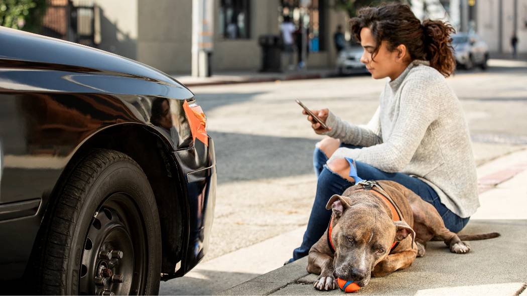 Una mujer en su teléfono sentada junto a su perro canelo grande y un automóvil