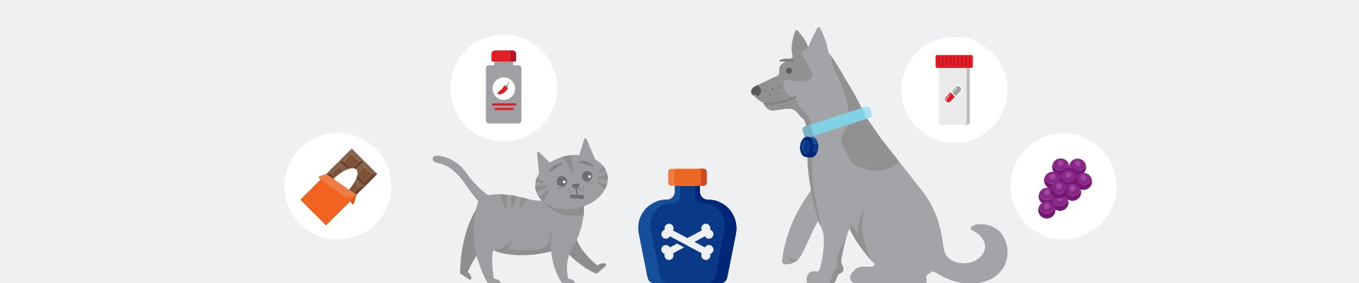 Ilustración de un gato y un perro al lado de venenos