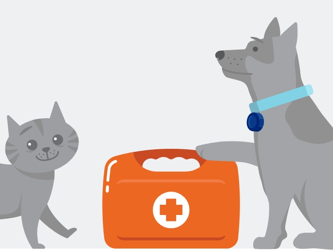 Ilustración de un gato y un perro de pie junto a un kit de primeros auxilios