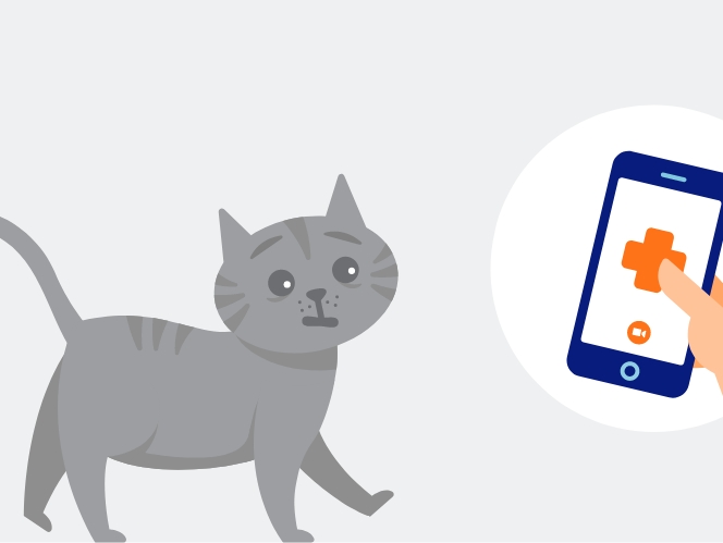 Ilustración de un gato al lado de un teléfono móvil con el logotipo de Banfield