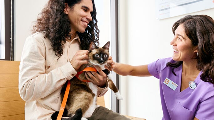 Dueño sostiene a un gato junto a un veterinario
