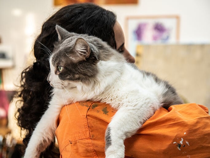 Un gato acurrucado en los brazos de su dueño