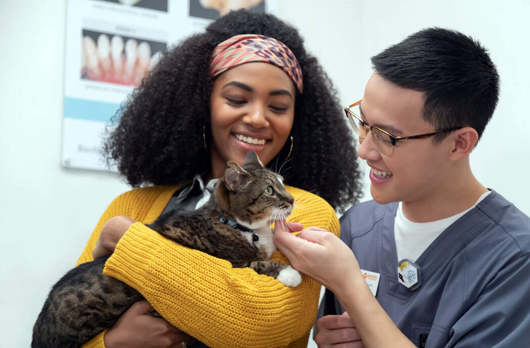 Una mujer sosteniendo un gato mientras un veterinario le rasca la barbilla al gato 