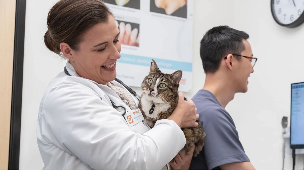 Médico sosteniendo un gato