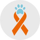 Ilustración de una cinta naranja con un estampado de patas en la parte superior