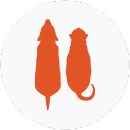 Ilustración de un gato y un perro con pesos corporales obesos