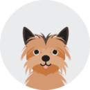 Ilustración de una yorkie