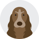 Ilustración de un spaniel