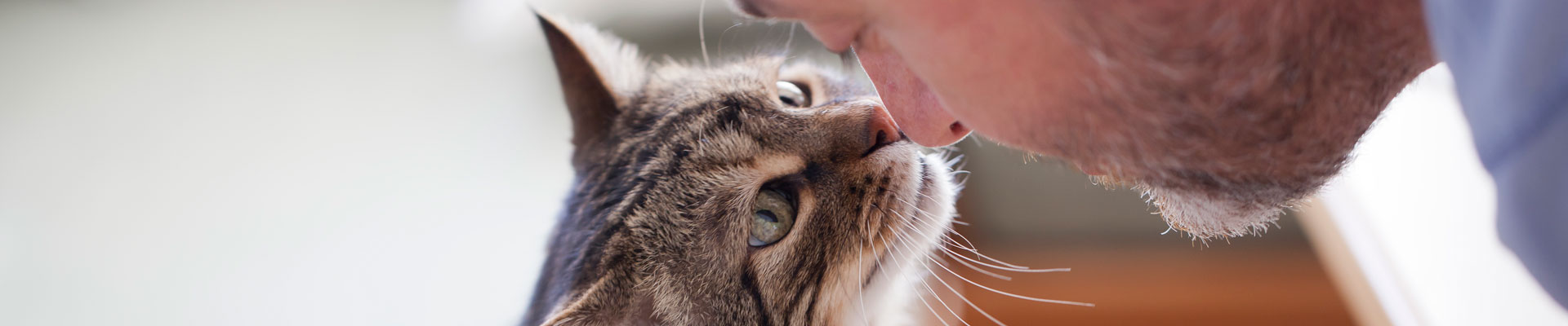 Man and brown cat are nose to nose.