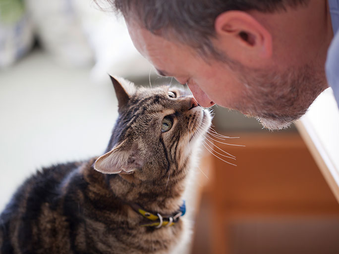 Man and brown cat are nose to nose.