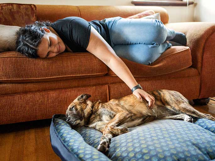 Woman lays on a sofa with her hand on her senior dog laying on its bed in front of the sofa.