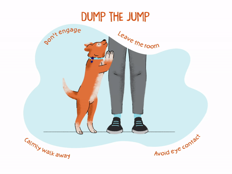 Un cachorro animado saltando sobre su dueño