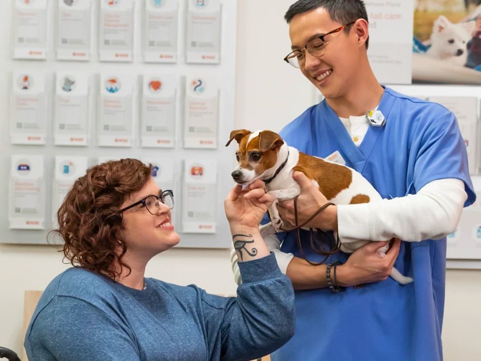 veterinario sostiene un perro con su dueño