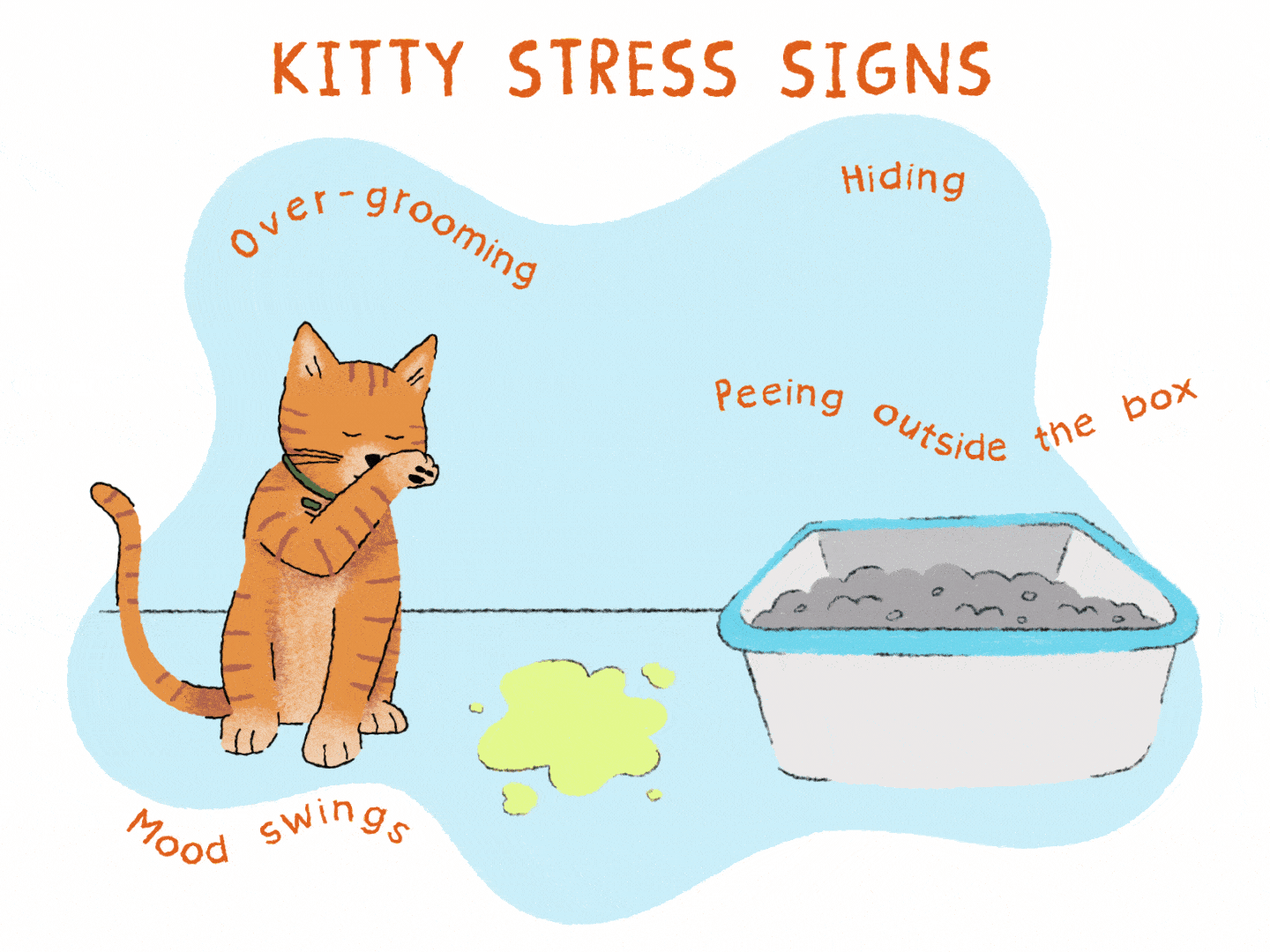 ilustración de un gatito naranja que no usó el arenero adecuadamente